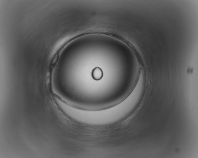 X0000110931461200906251321
