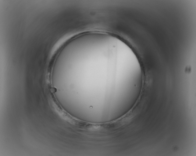 X0000110931462200906251321