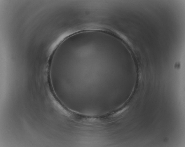 X0000110931463200906251321