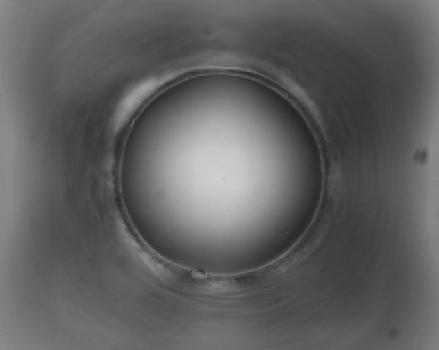 X0000110931464200906251321