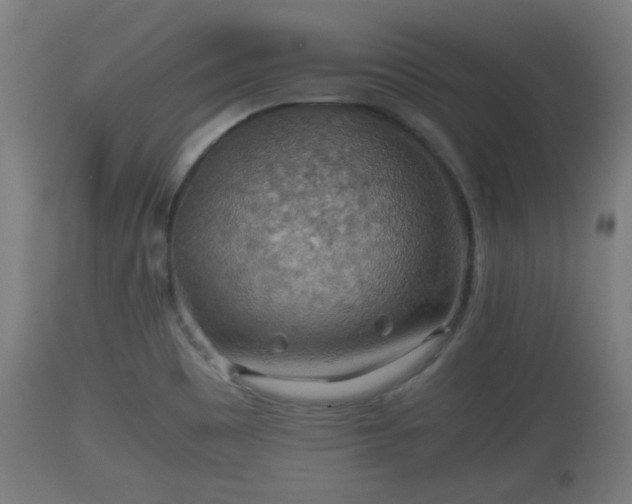 X0000110931465200906251321