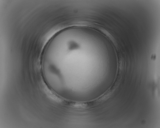 X0000110931466200906251321