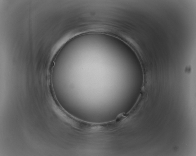 X0000110931467200906251321