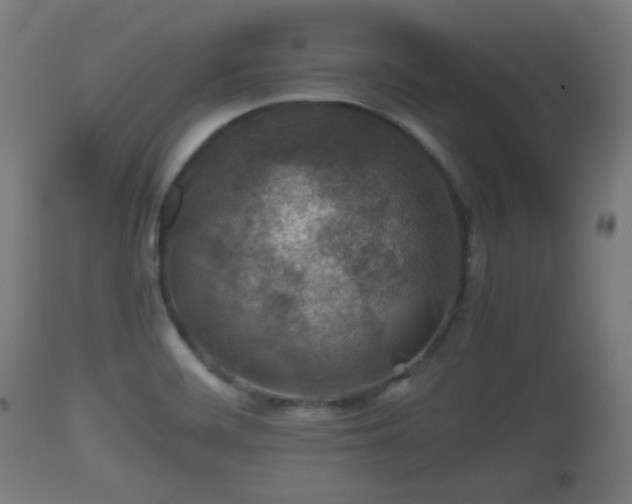 X0000110931468200906251321