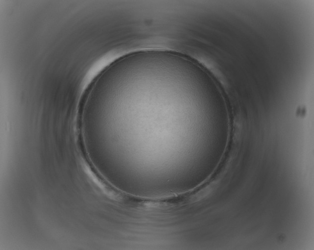 X0000110931469200906251321