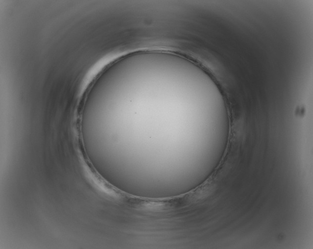 X0000110931470200906251321
