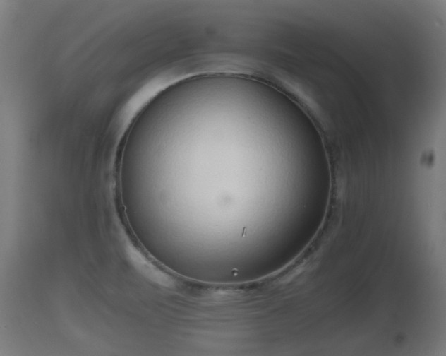 X0000110931471200906251321