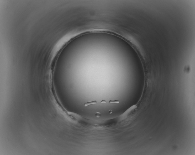 X0000110931472200906251321