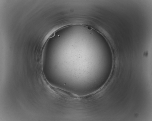 X0000110931473200906251321