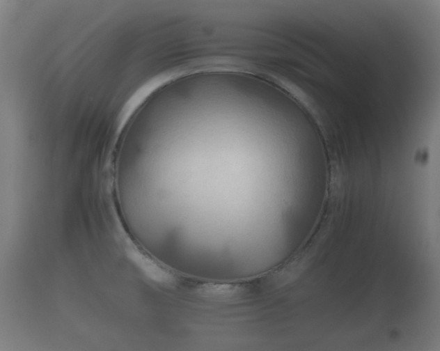 X0000110931474200906251321