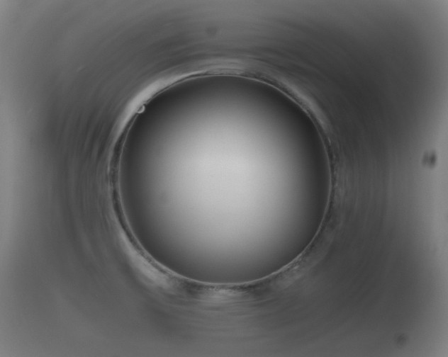 X0000110931475200906251321