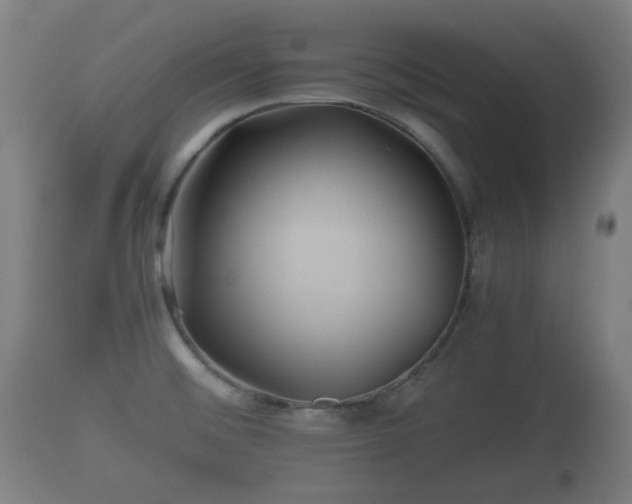 X0000110931476200906251321