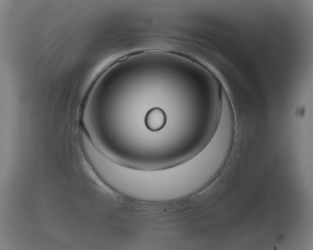 X0000110931477200906251321