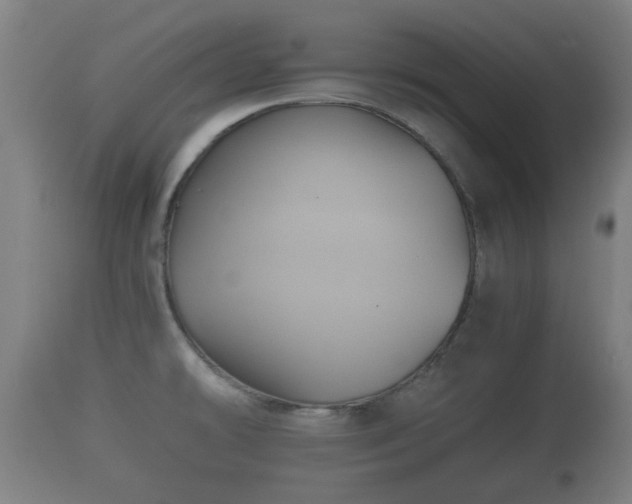 X0000110931478200906251321