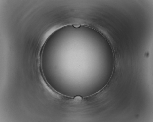 X0000110931479200906251321