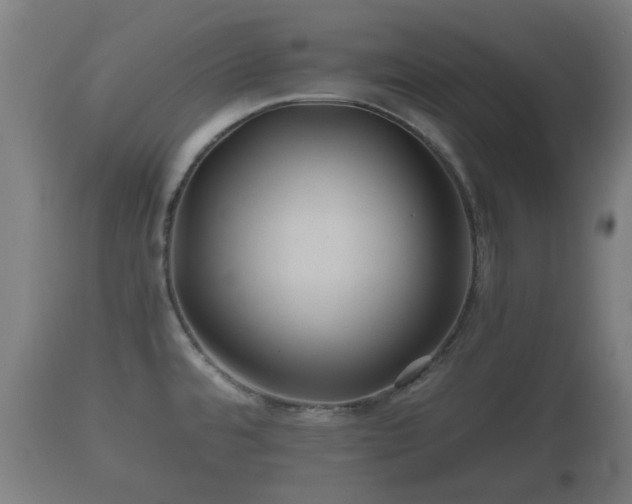 X0000110931480200906251321