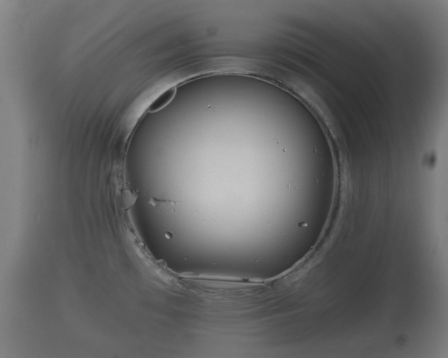X0000110931481200906251321