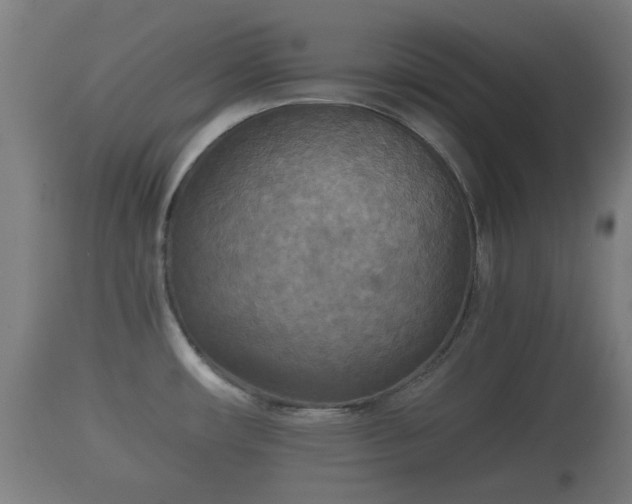 X0000110931482200906251321