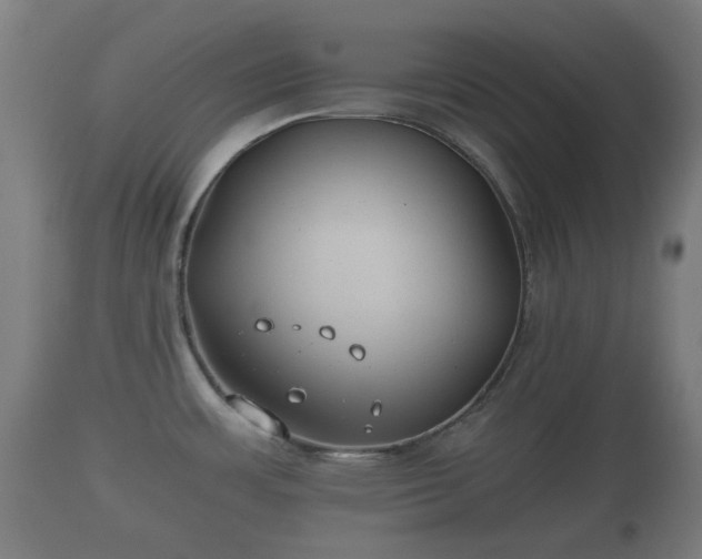 X0000110931483200906251321