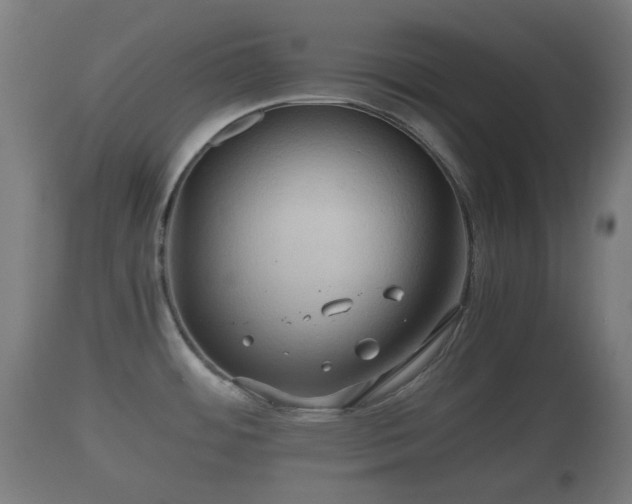 X0000110931484200906251321