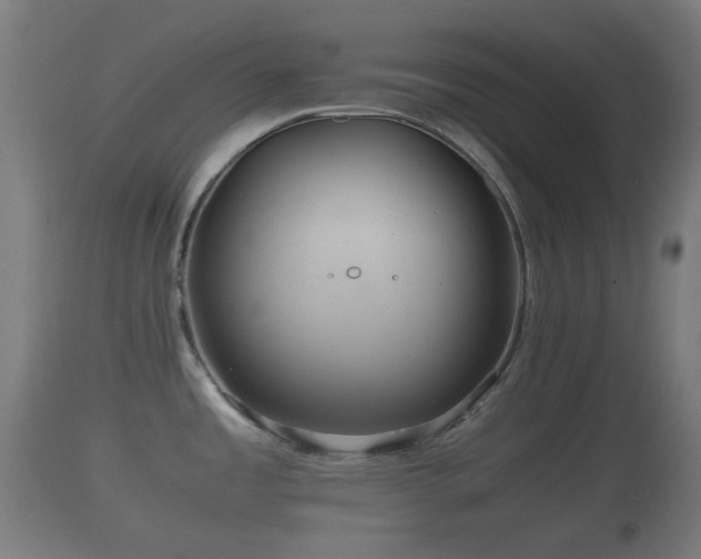X0000110931485200906251321