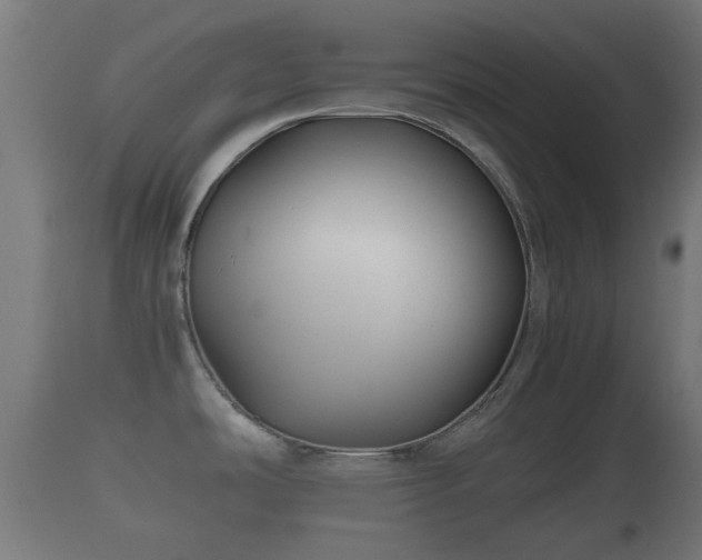 X0000110931486200906251321