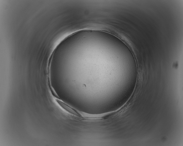 X0000110931487200906251321