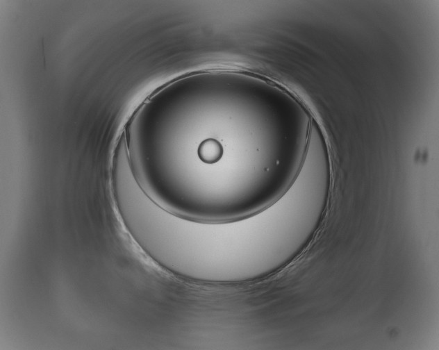 X0000110931488200906251321