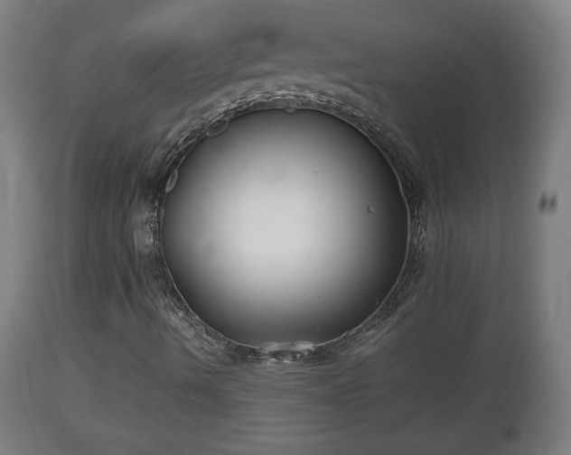 X0000110931490200906251320