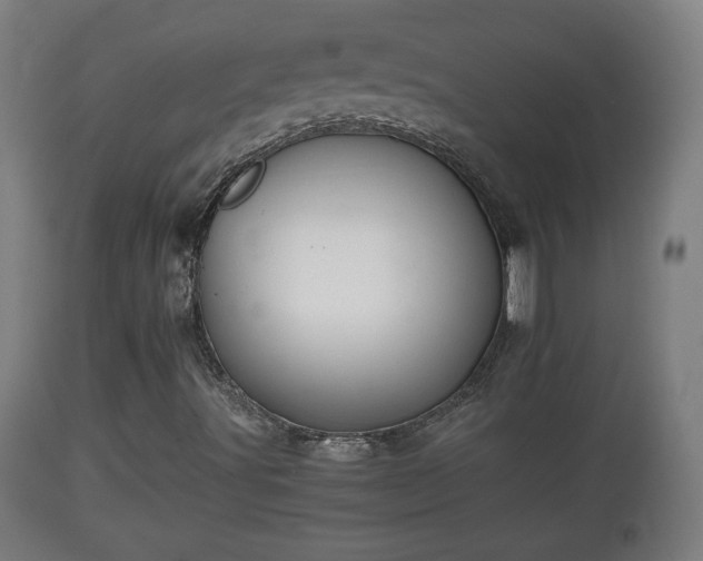 X0000110931491200906251320