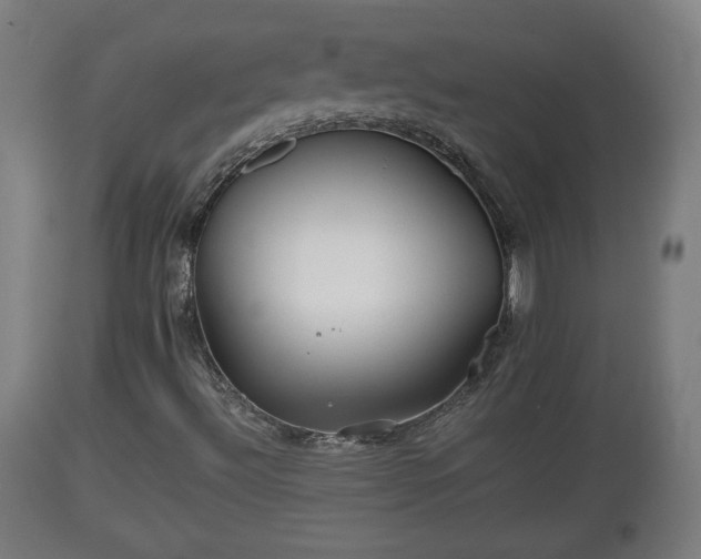 X0000110931492200906251320