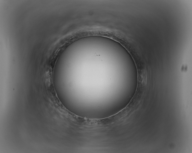 X0000110931493200906251320