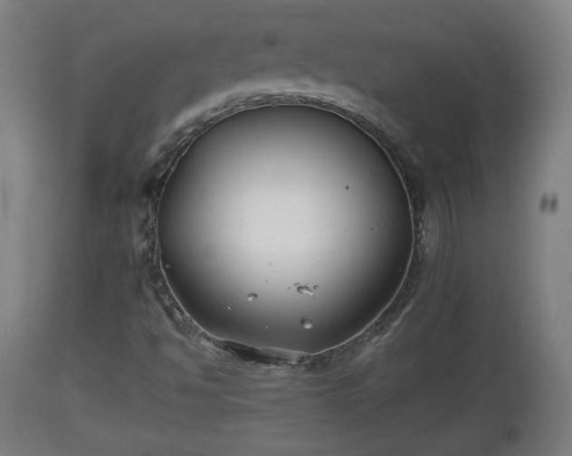 X0000110931494200906251320
