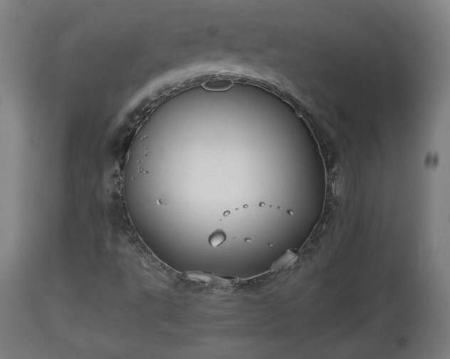 X0000110931495200906251320