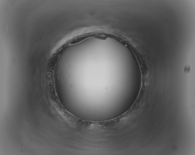 X0000110931496200906251320