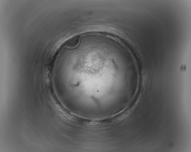 X0000110931497200906251321