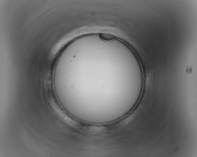 X0000110931498200906251321