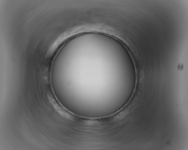 X0000110931499200906251321