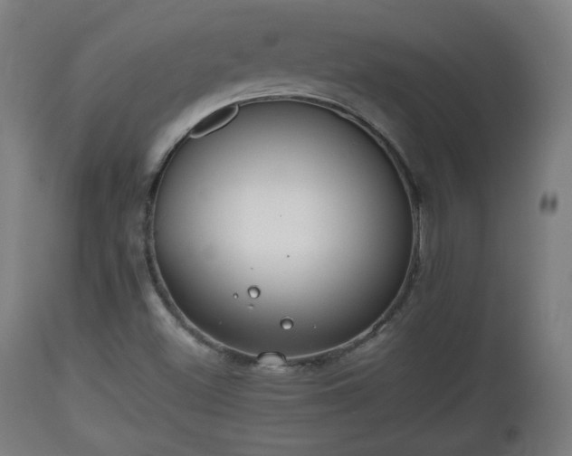 X0000110931500200906251321