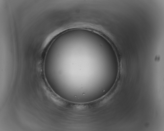X0000110931501200906251321