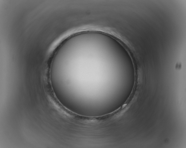 X0000110931502200906251321