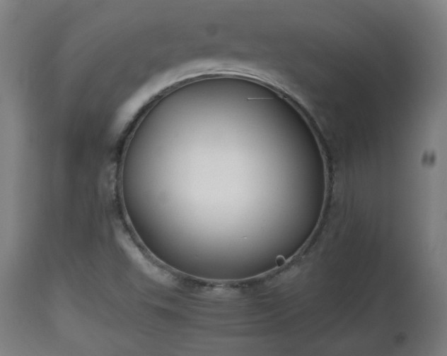 X0000110931503200906251321