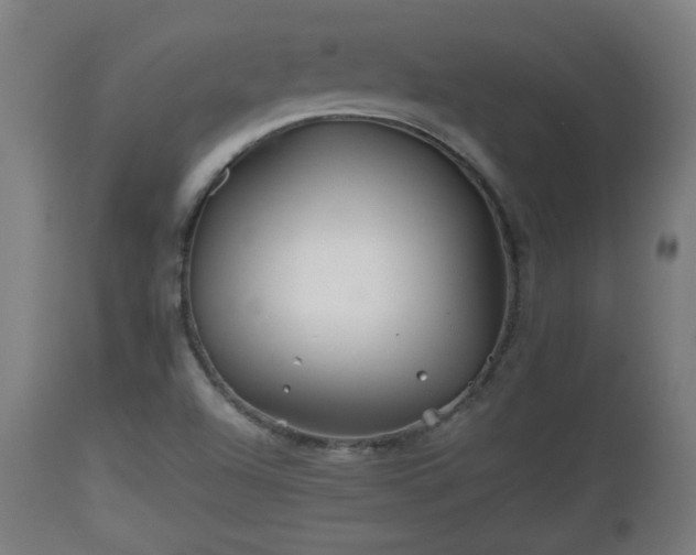X0000110931504200906251321