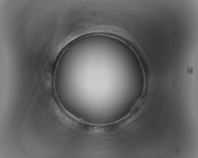 X0000110931505200906251321