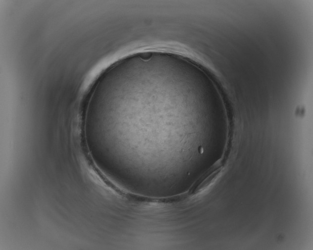X0000110931506200906251321