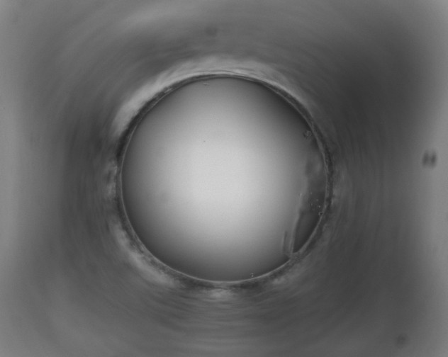 X0000110931507200906251321