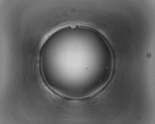 X0000110931508200906251321