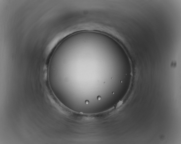 X0000110931509200906251321