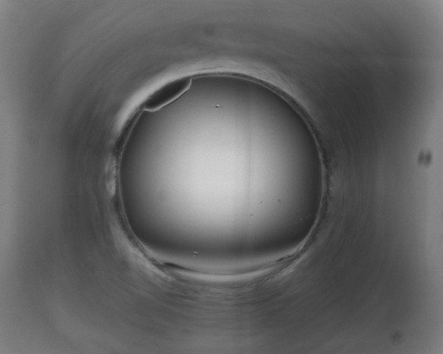 X0000110931510200906251321