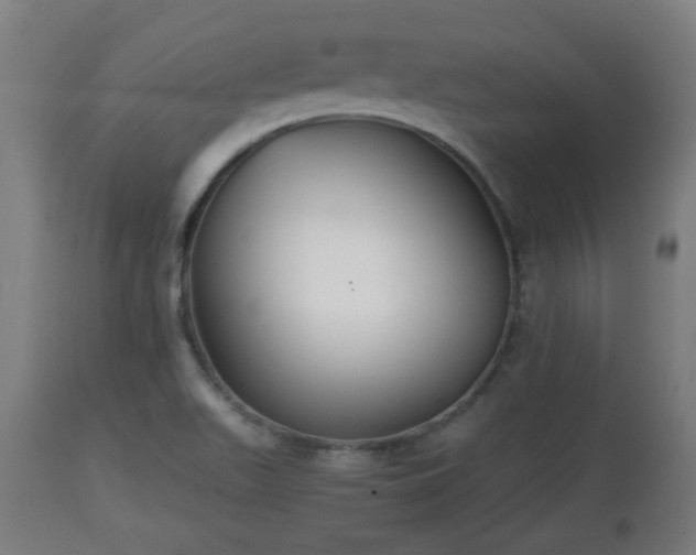 X0000110931511200906251321